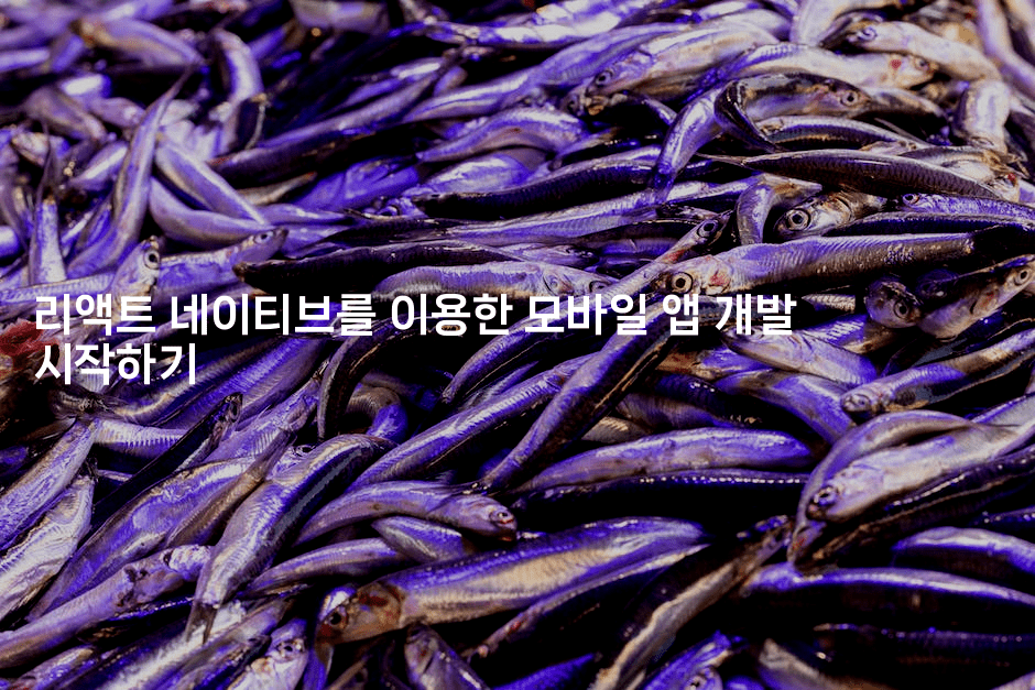 리액트 네이티브를 이용한 모바일 앱 개발 시작하기-씨샵샵