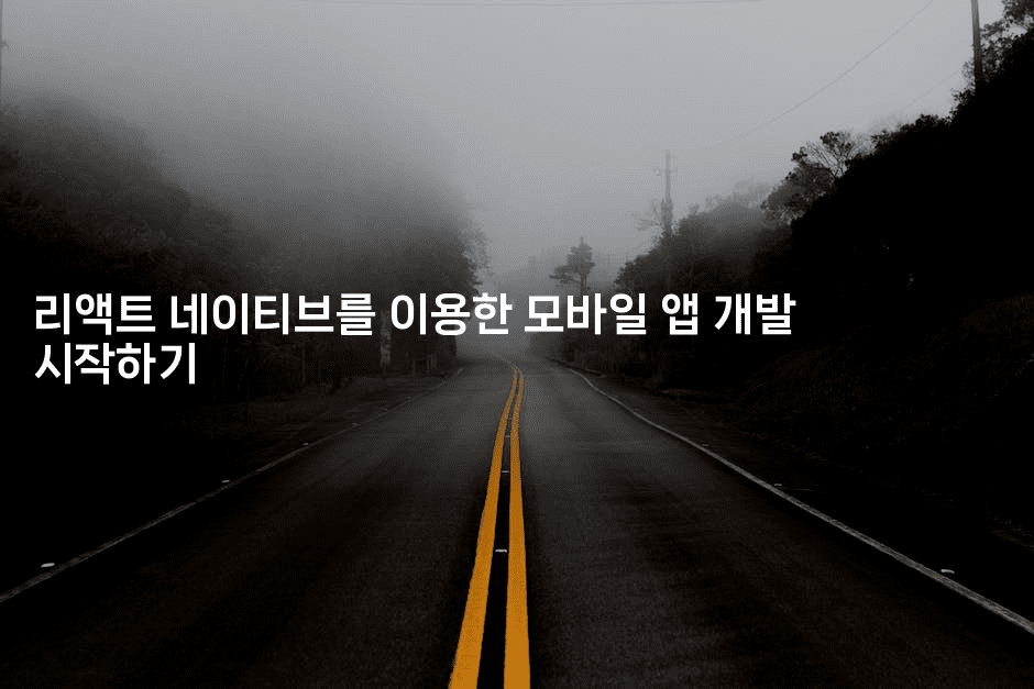 리액트 네이티브를 이용한 모바일 앱 개발 시작하기2-씨샵샵