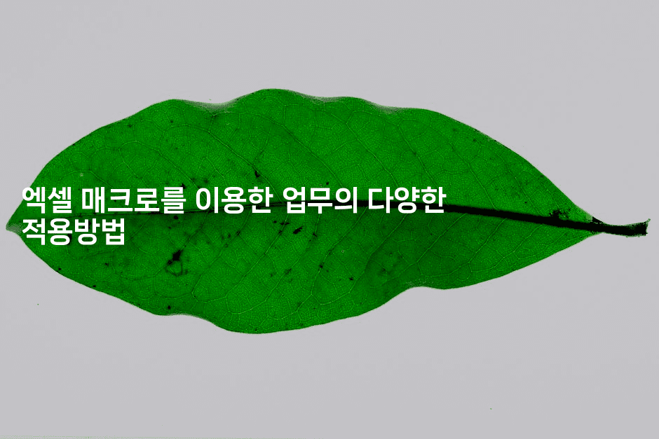 엑셀 매크로를 이용한 업무의 다양한 적용방법-씨샵샵