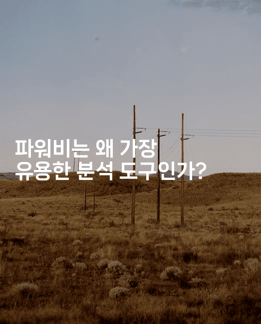 파워비는 왜 가장 유용한 분석 도구인가?