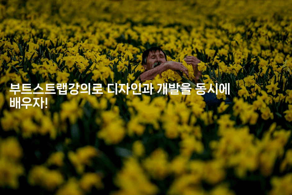 부트스트랩강의로 디자인과 개발을 동시에 배우자!2-씨샵샵