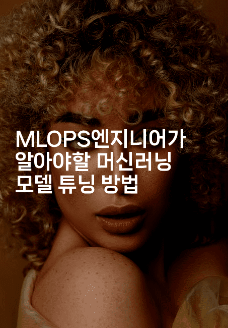 MLOPS엔지니어가 알아야할 머신러닝 모델 튜닝 방법-씨샵샵