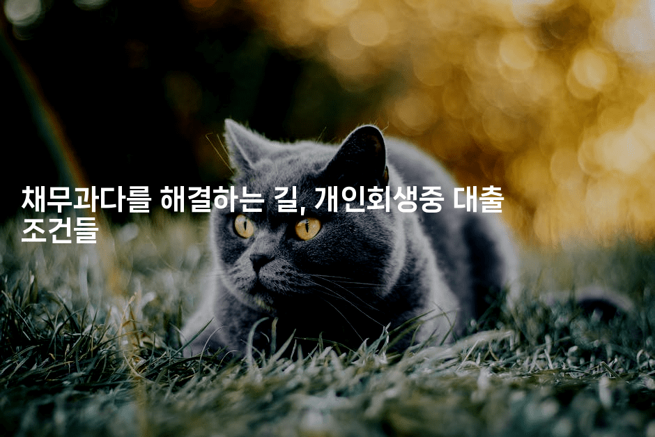 채무과다를 해결하는 길, 개인회생중 대출 조건들-씨샵샵