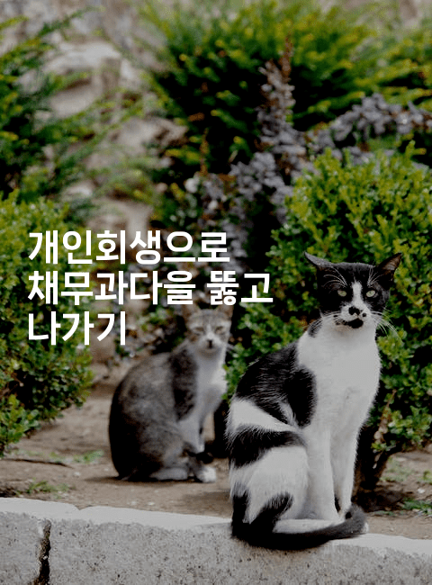 개인회생으로 채무과다을 뚫고 나가기-씨샵샵