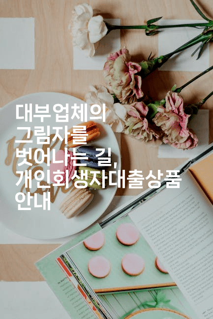 대부업체의 그림자를 벗어나는 길, 개인회생자대출상품 안내-씨샵샵