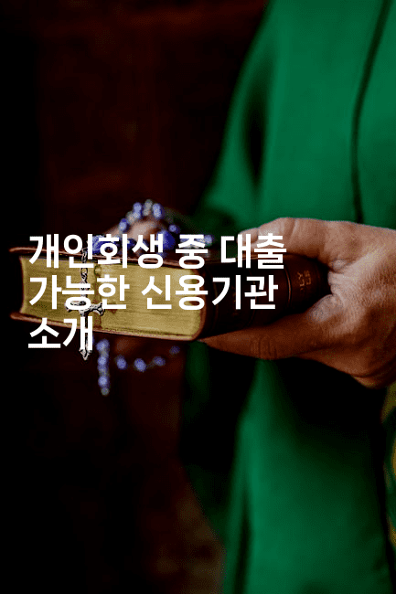 개인회생 중 대출 가능한 신용기관 소개-씨샵샵