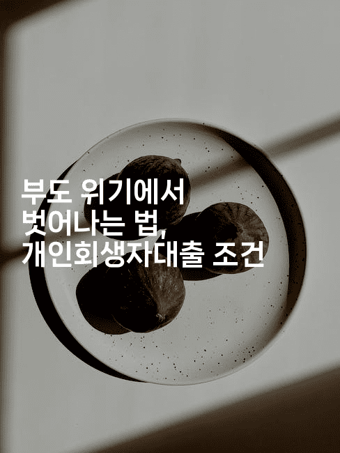 부도 위기에서 벗어나는 법, 개인회생자대출 조건-씨샵샵