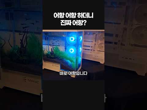 요즘 컴퓨터 케이스 근황 #컴퓨터케이스 #어항케이스