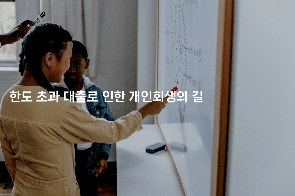 한도 초과 대출로 인한 개인회생의 길-씨샵샵