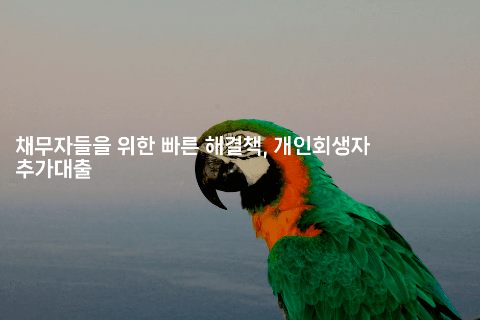 채무자들을 위한 빠른 해결책, 개인회생자 추가대출-씨샵샵